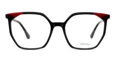 Woodys 260202 SASSA