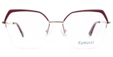 Dámská brýlová obruba Famossi FM 122 c4