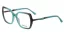Dámská brýlová obruba Famossi FM 128 c4