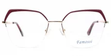 Dámská brýlová obruba Famossi FM 122 c4